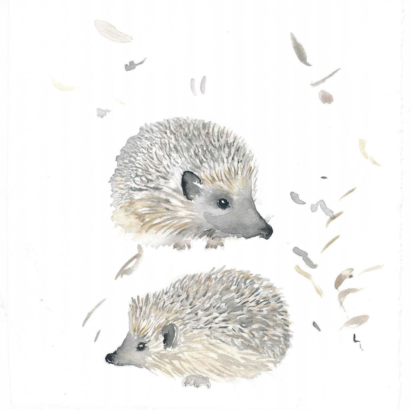 Pajamas with hedgehogs in organic cotton