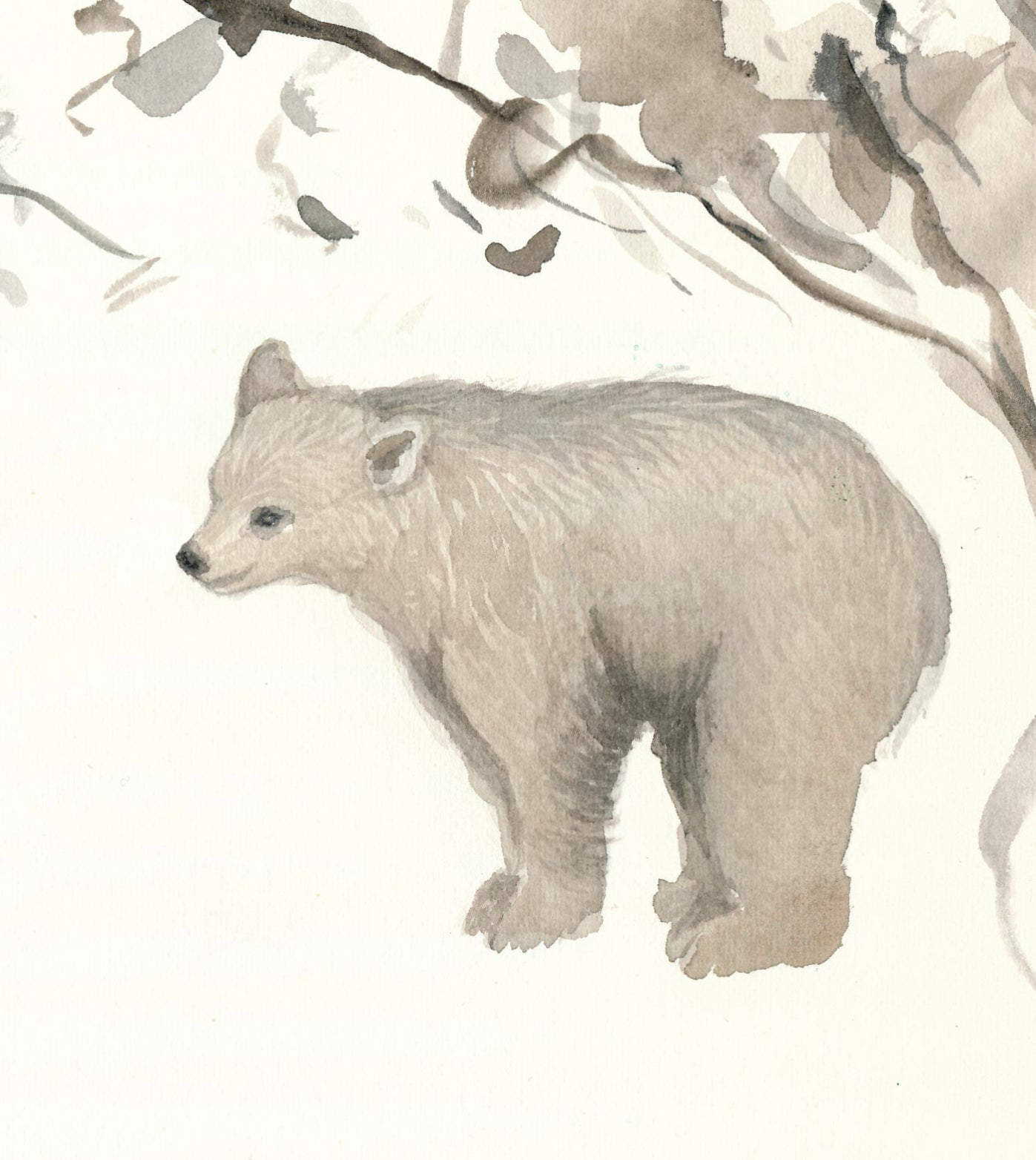 Pajamas for baby with bears