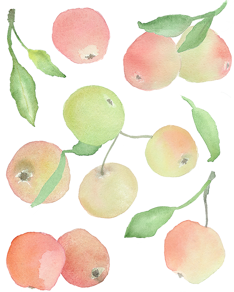 Pyjamas för baby i ekologisk bomull med äpplen Pyjamas baby