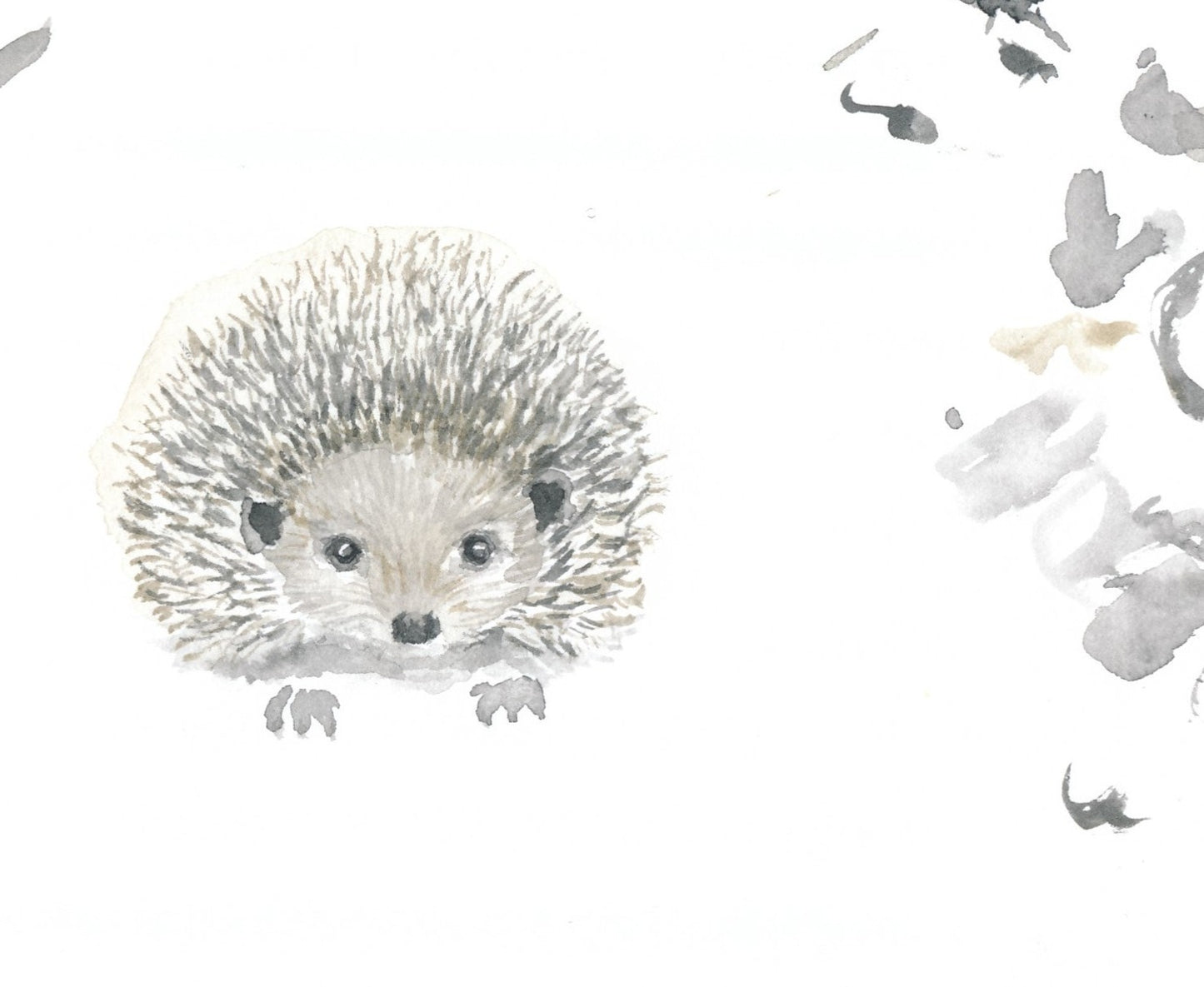 Pyjamas för baby i ekologisk bomull med igelkottar Pyjamas baby