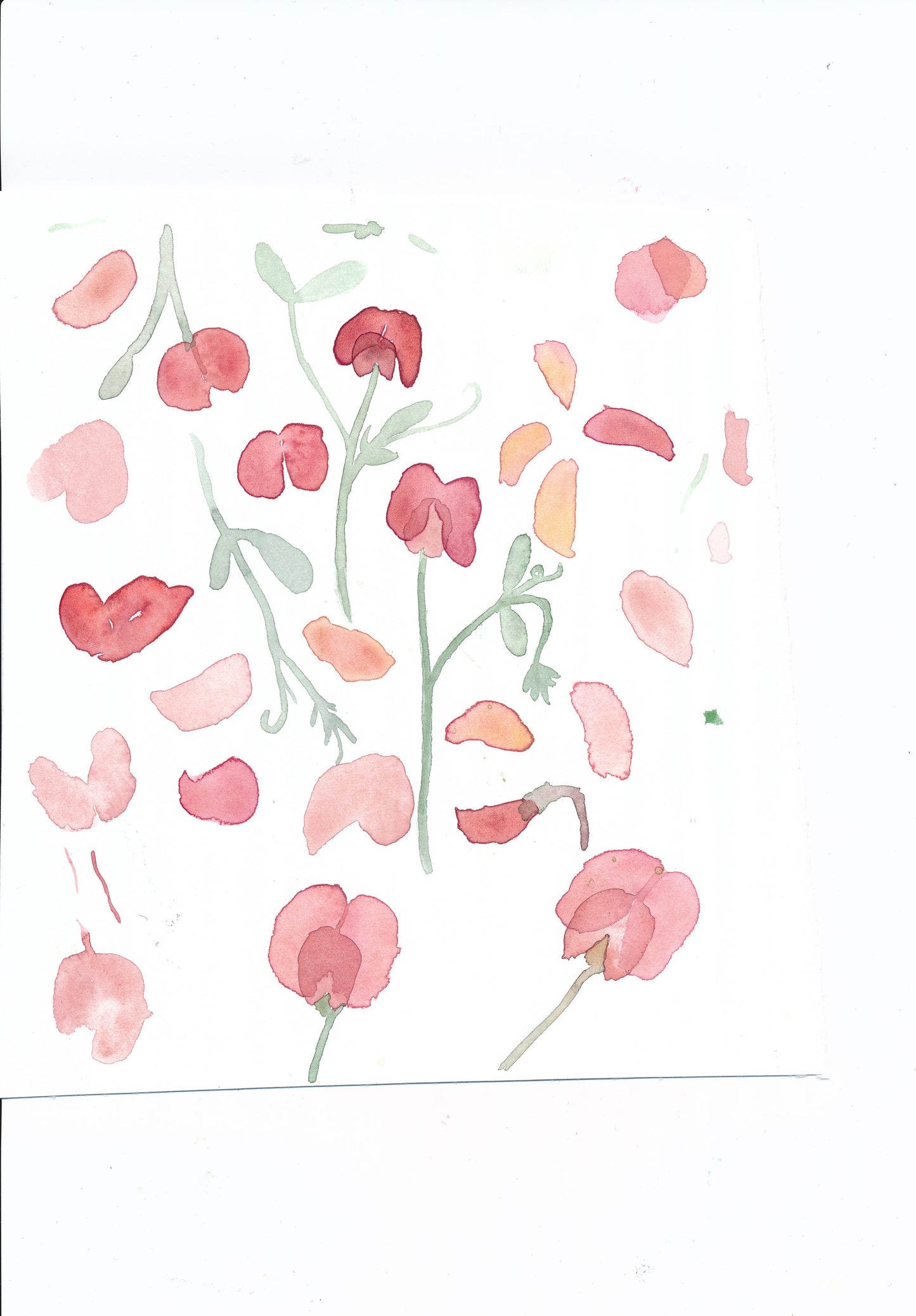 Klänning med fjärilsarm med sommaräng klänning