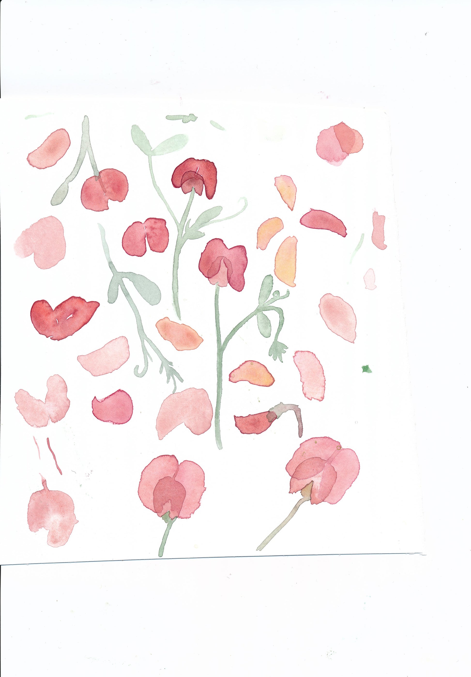 Klänning med fjärilsarm med sommaräng klänning