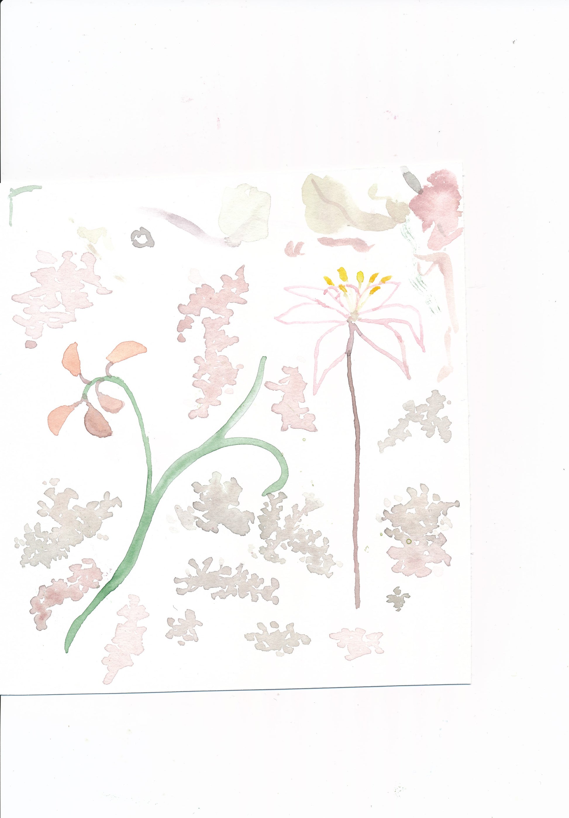 Klänning med fjärilsarm med sommaräng klänning