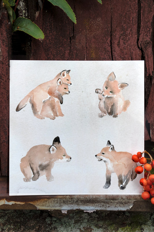 Postcard fox