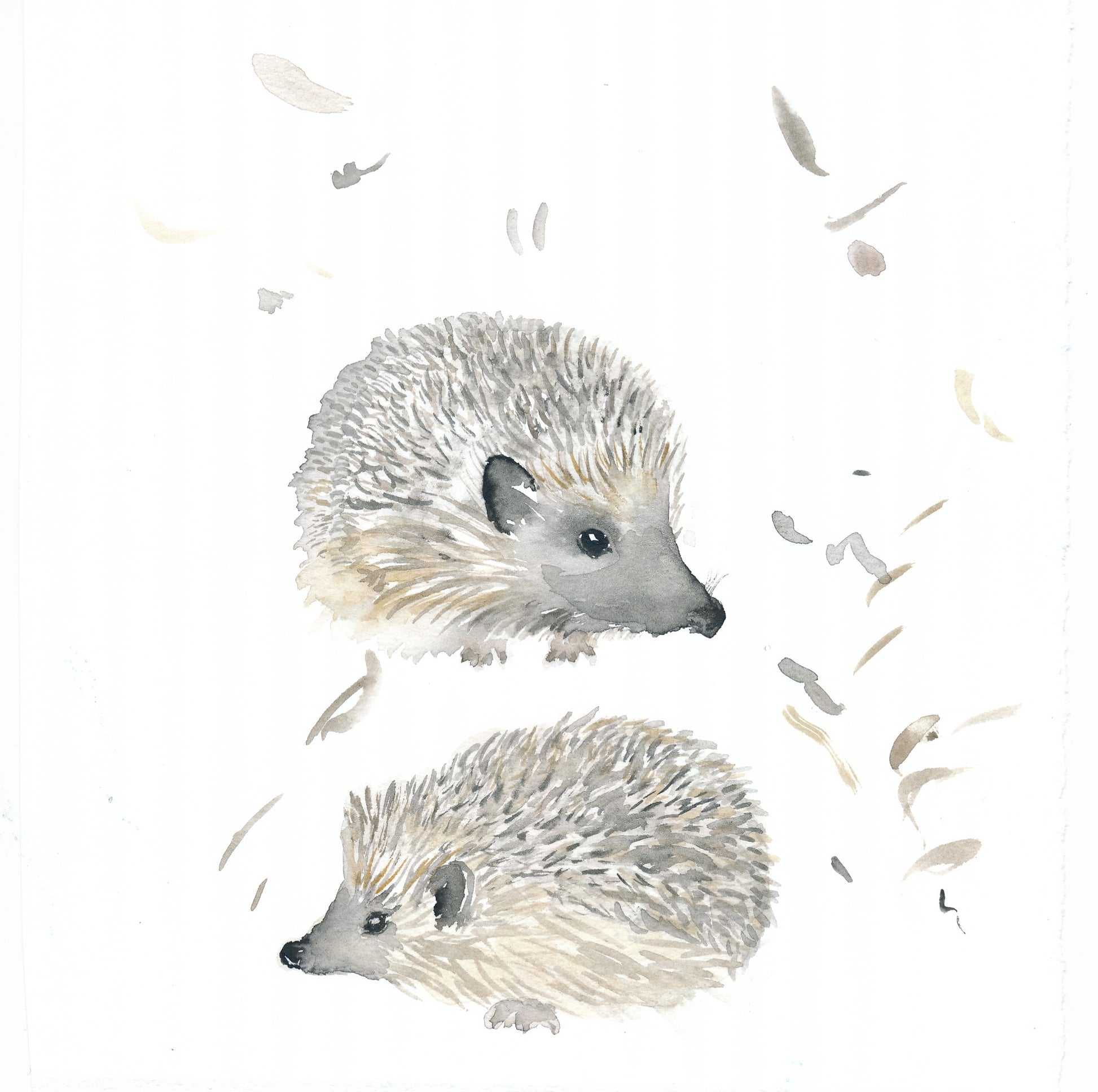 Pyjamas för baby i ekologisk bomull med igelkottar Pyjamas baby