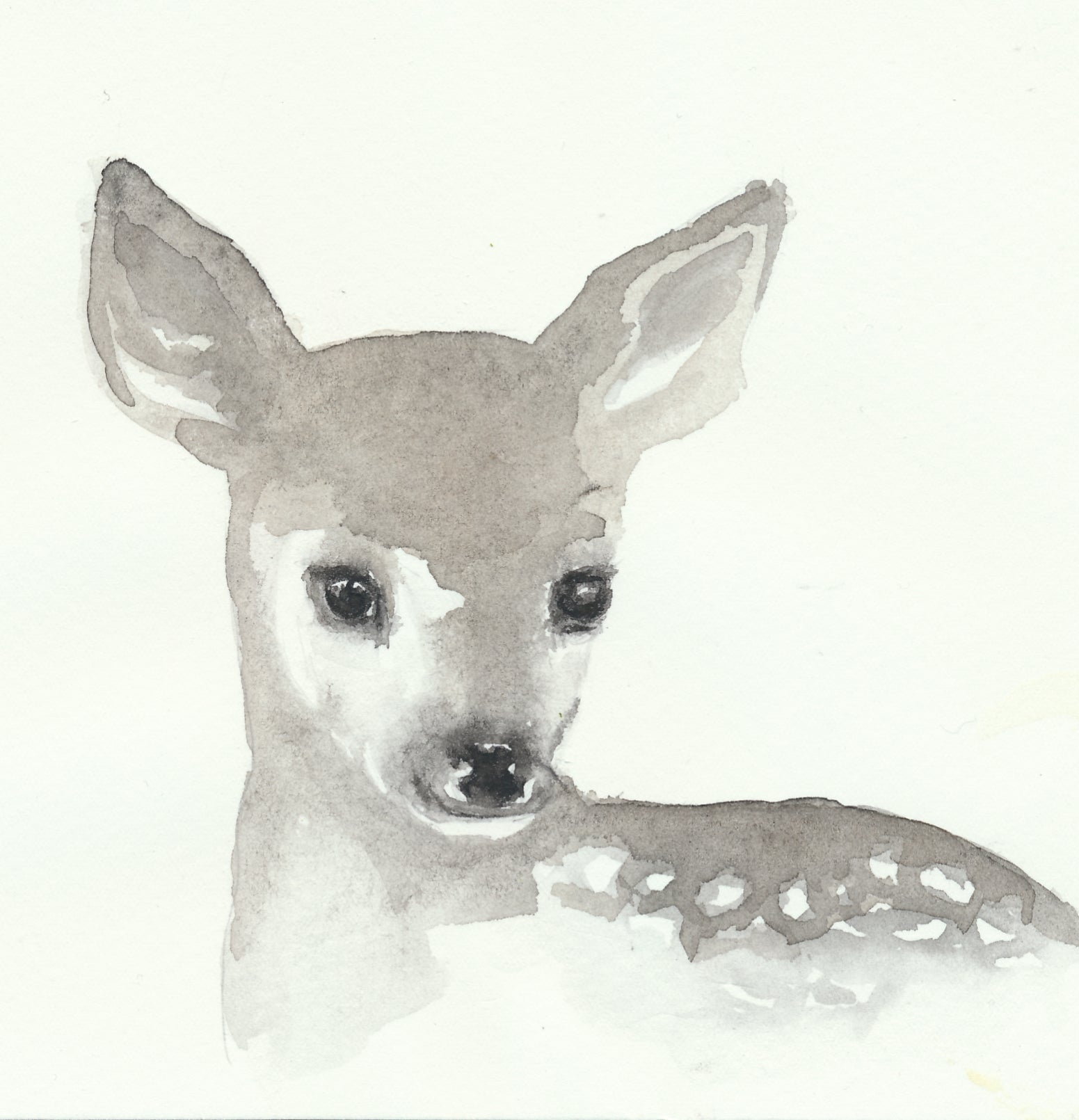 Pyjamas för baby i ekologisk bomull med rådjur Pyjamas