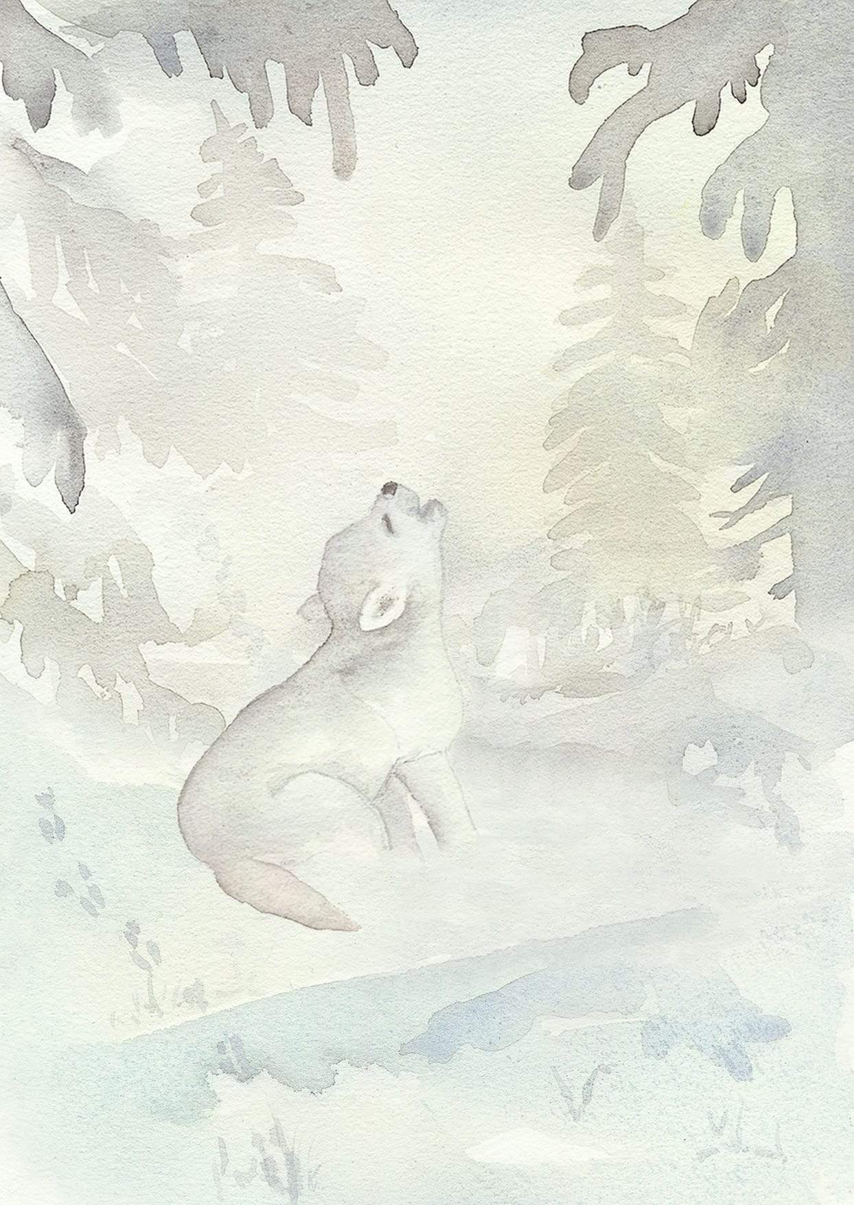 Vykort Vargen Edward i snön Postcard